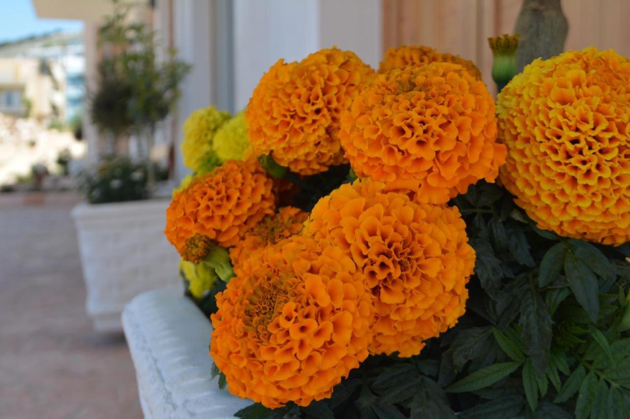 Apartment Apartments,vila Sarande